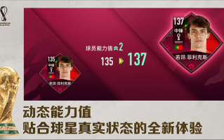 fifa足球世界能换队服吗，fifa足球世界国际服