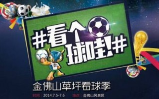 雅迪世界杯专题页，雅迪电动车世界杯
