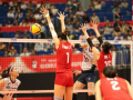 2019女排世界杯新浪专题，2019女排世界杯新浪专题报道