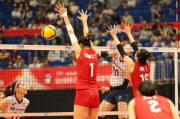 2019女排世界杯新浪专题，2019女排世界杯新浪专题报道