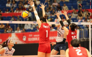 2019女排世界杯新浪专题，2019女排世界杯新浪专题报道