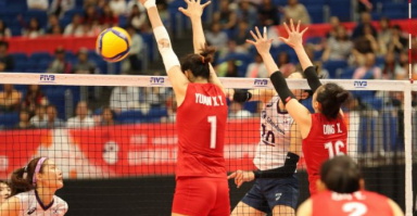 2019女排世界杯新浪专题，2019女排世界杯新浪专题报道